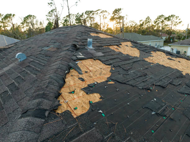 Best Metal Roofing Installation  in Calcutta, OH